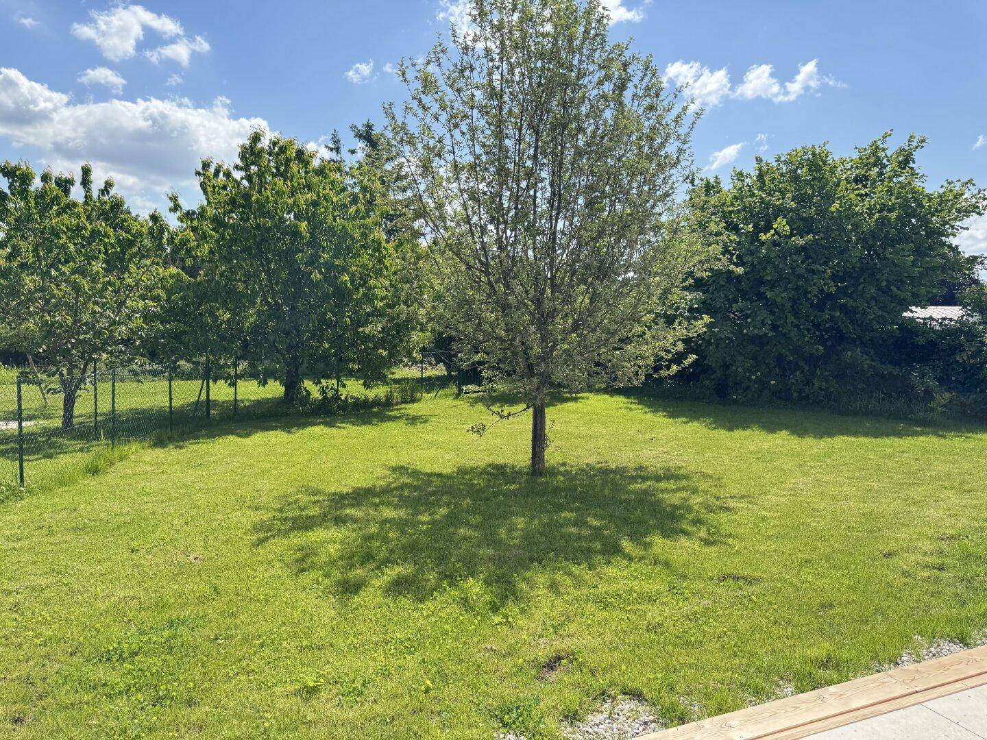 Weitläufiger, gepflegter Garten mit Rasenfläche und mehreren Bäumen, ideal zum Entspannen.