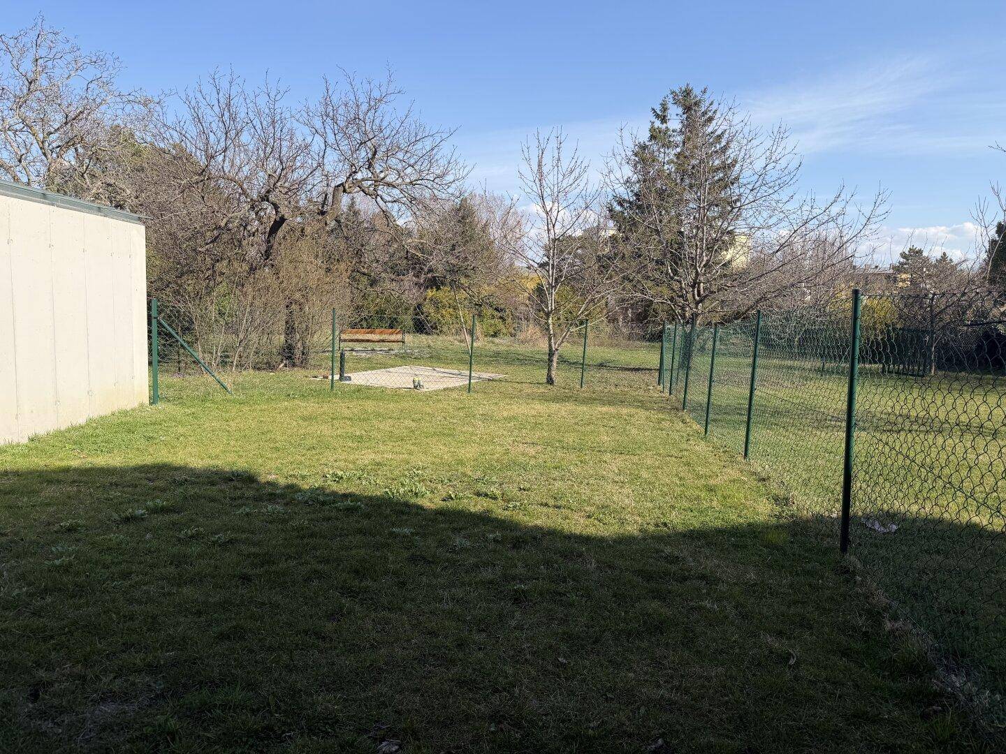 Großer, unmöblierter Gartenbereich mit Rasenfläche und Zaun, umgeben von Bäumen.
