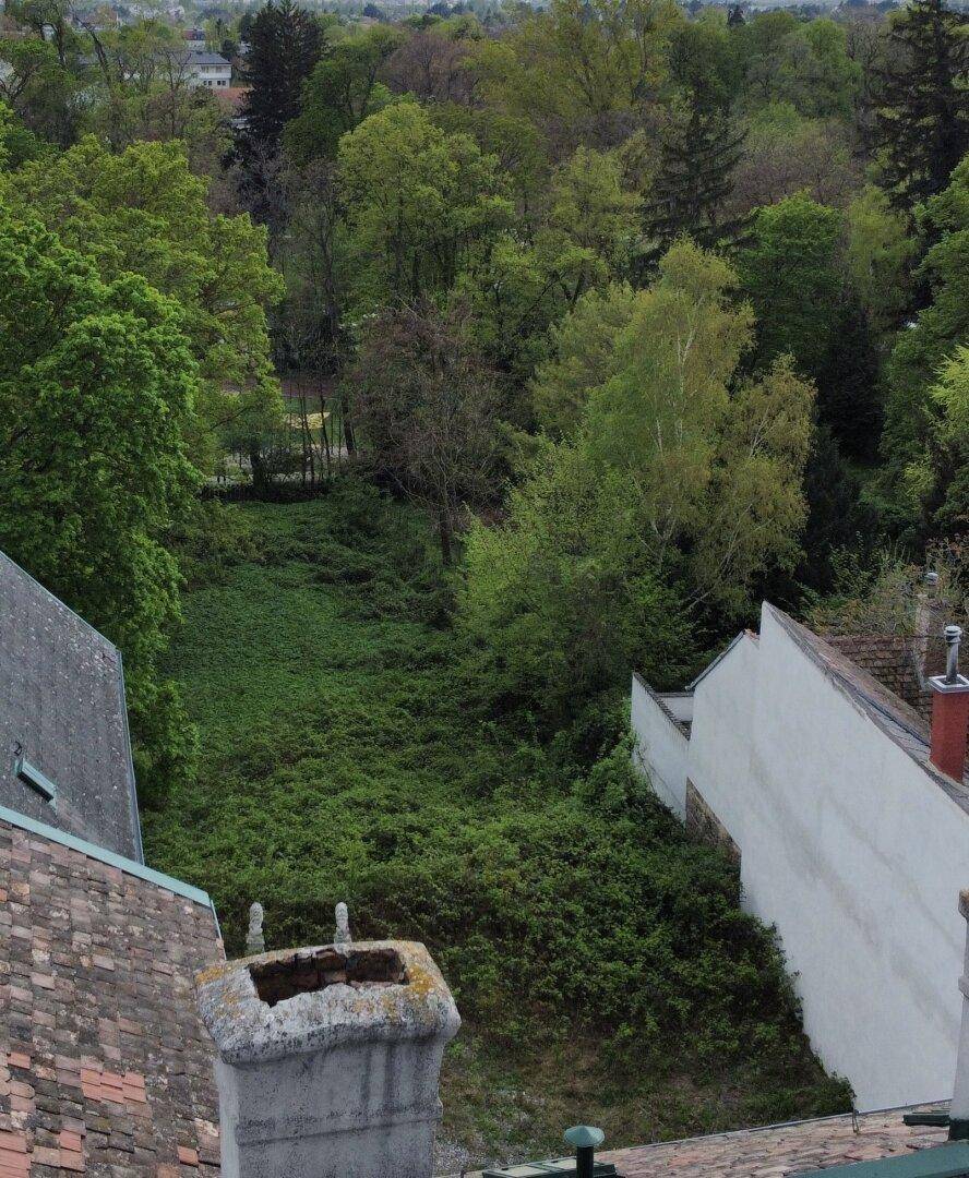 Blick von oben auf ein dicht bewachsenes, grünes Grundstück zwischen mehreren Gebäuden.