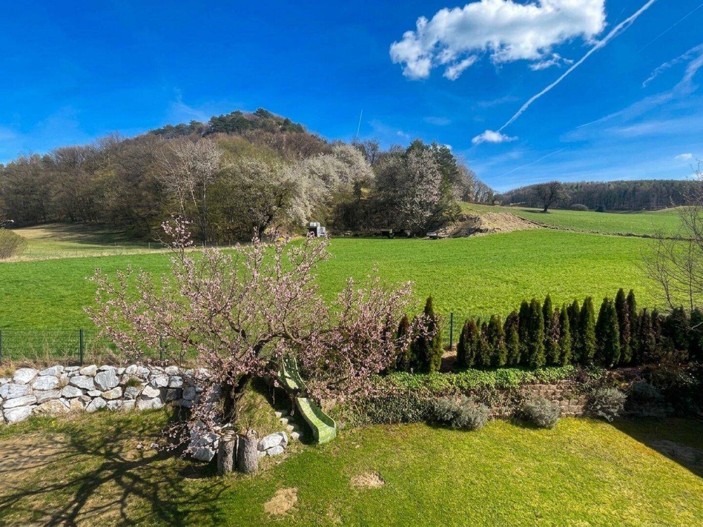 Grüner Garten mit blühendem Baum, kleiner Rutsche und weitem Blick auf die umliegende Landschaft.