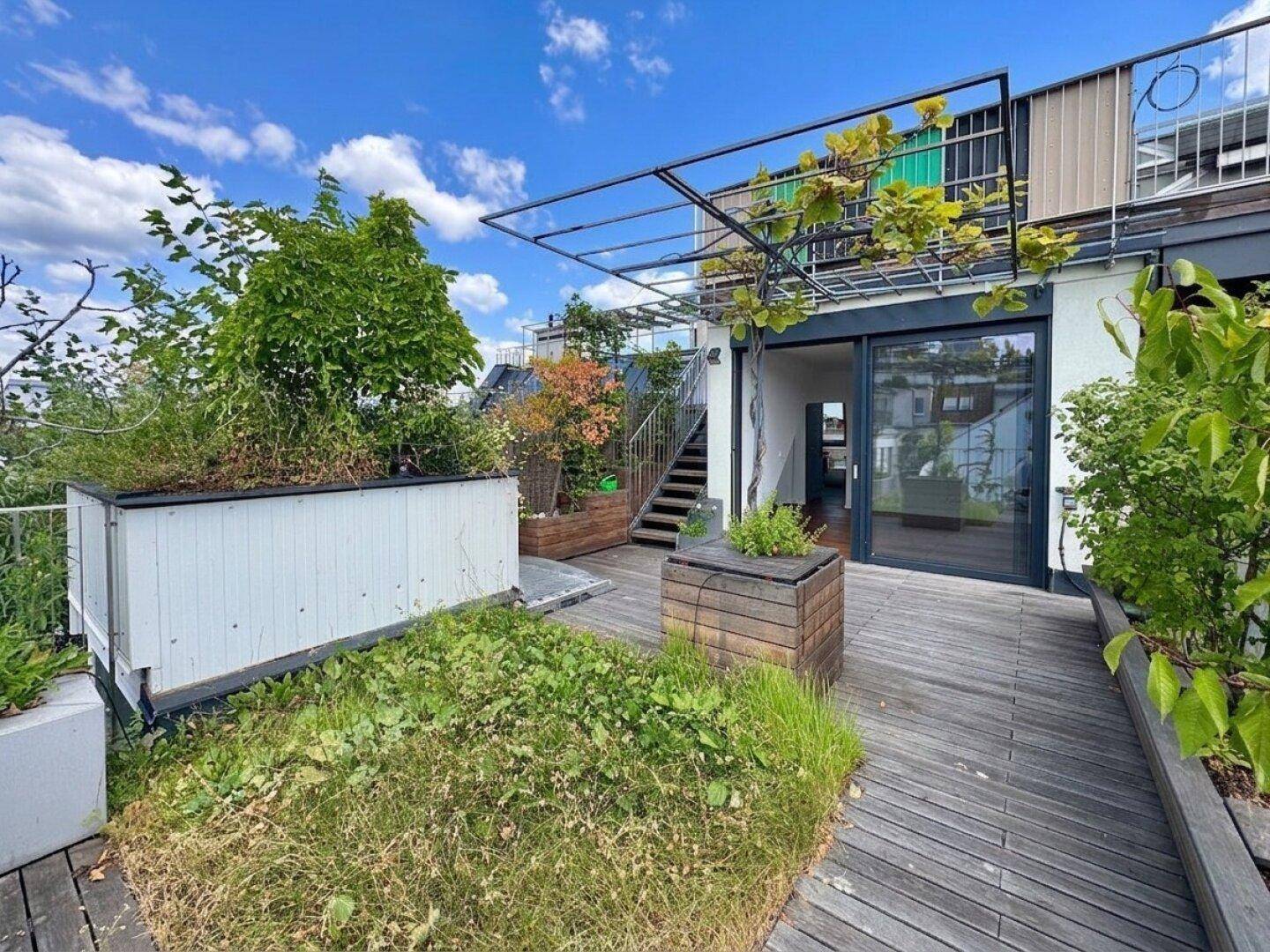 Grüne Dachterrasse mit Holzdeck, Pflanzen und einer Pergola, ideal zum Entspannen im Freien.