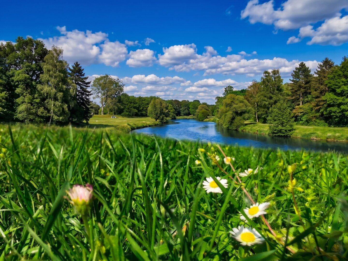 Flusslandschaft mit üppigen grünen Wiesen, Bäumen und blühenden Wildblumen im Vordergrund.