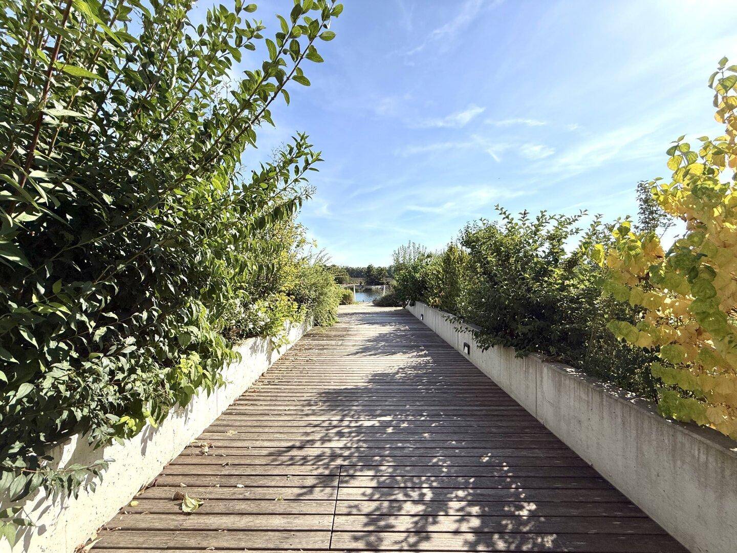 Grüner Gartenweg mit Holzplanken und üppiger Bepflanzung, der zum Wasser führt.