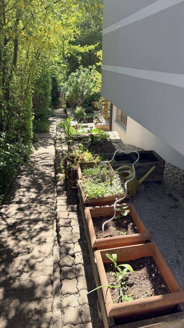 Detaillierte Ansicht eines gepflasterten Gartenwegs mit bepflanzten Hochbeeten und grüner Hecke.