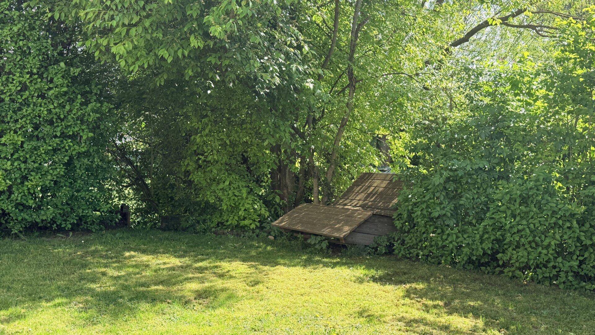 Grüne Rasenfläche im Garten, umgeben von dichten Büschen und Bäumen, mit einem kleinen Holzunterstand.