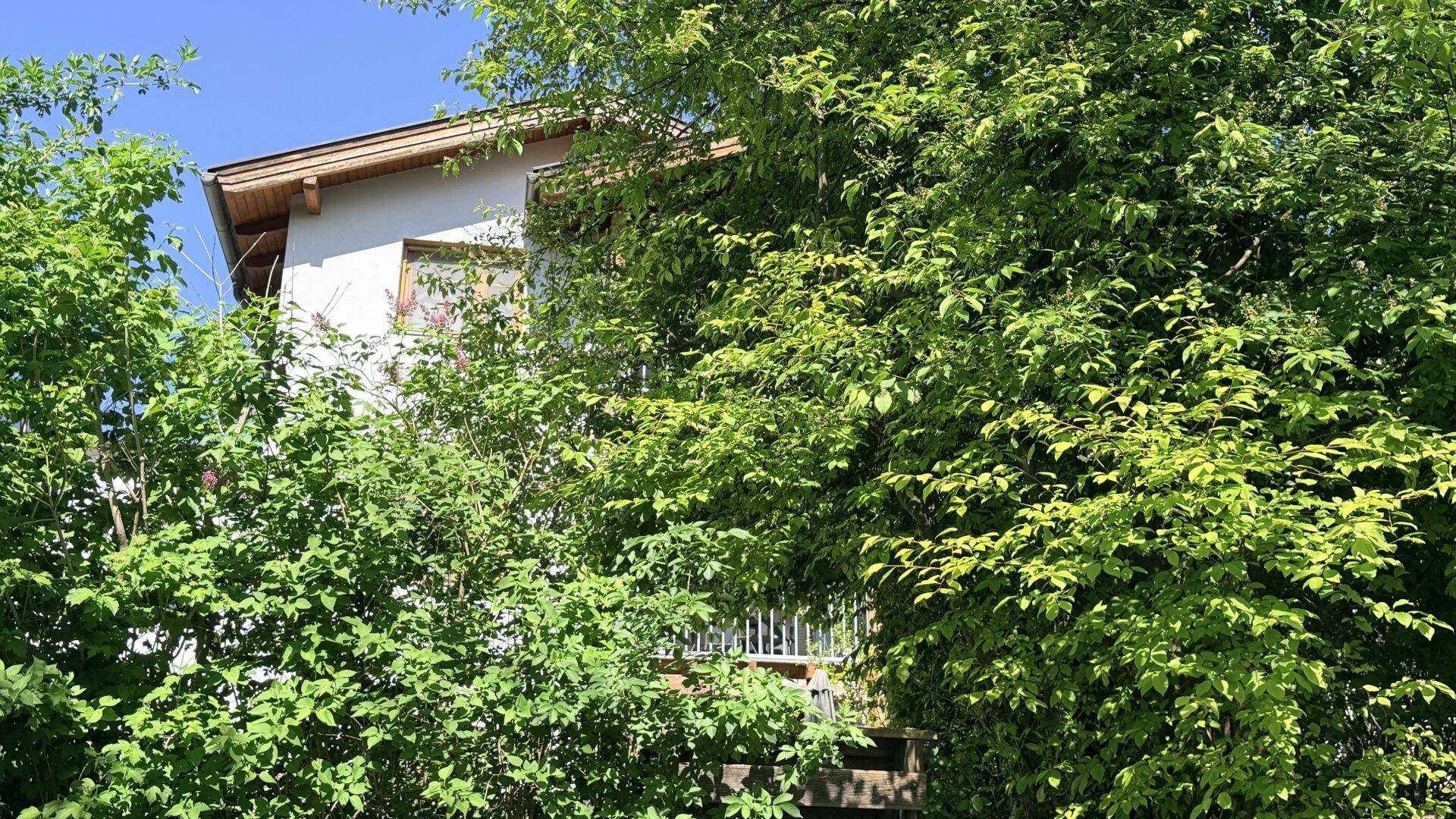 Teilansicht des Hauses mit Balkon, umgeben von dichtem Laubwerk und unter blauem Himmel.
