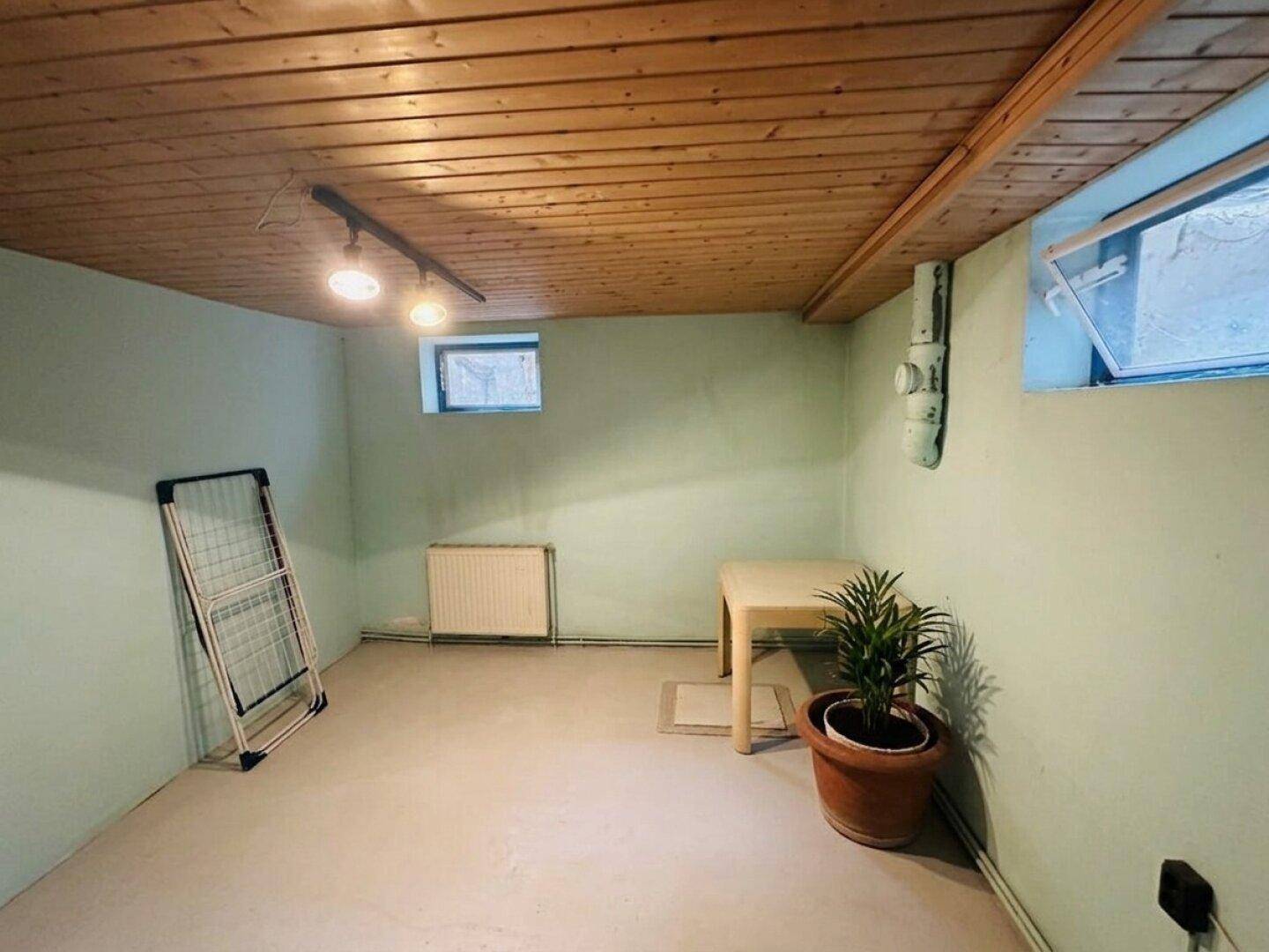 Heller Kellerraum mit hellgrünen Wänden, kleinem Fenster und Holzdeckenverkleidung.