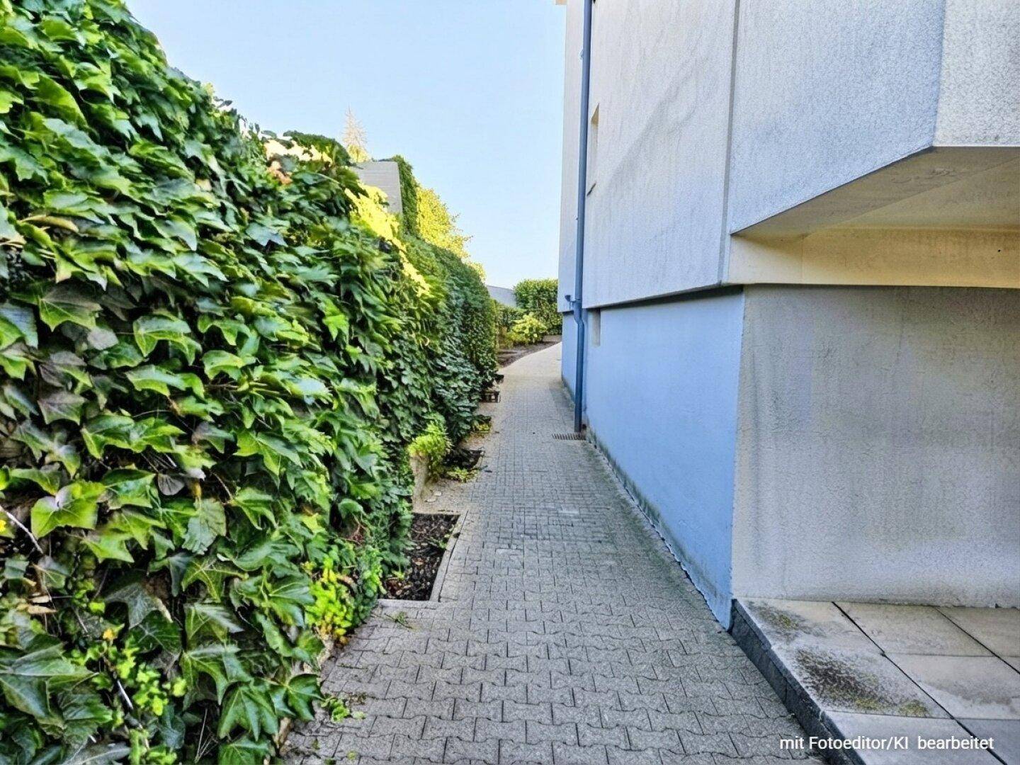 Schmaler gepflasterter Weg entlang einer dichten Hecke und der Gebäudeseite.