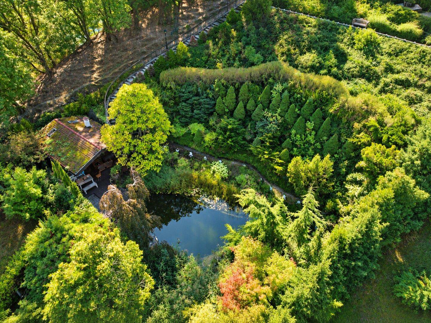 Luftaufnahme des Teichbereichs mit einem kleinen Gartenhaus, umgeben von dichtem Grün und hohen Bäumen.