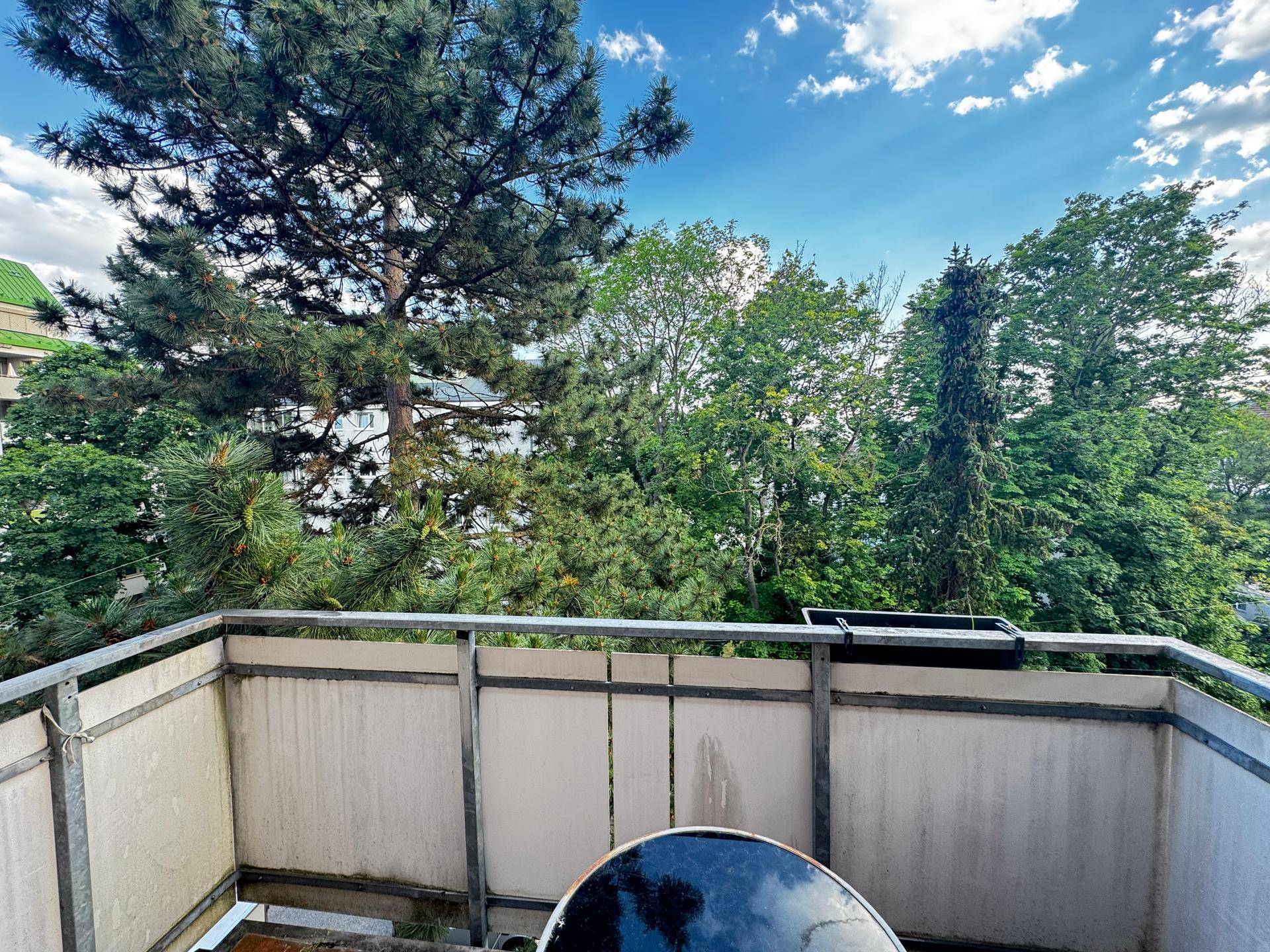 Balkon mit Blick ins Grüne und hohen Bäumen unter blauem Himmel.