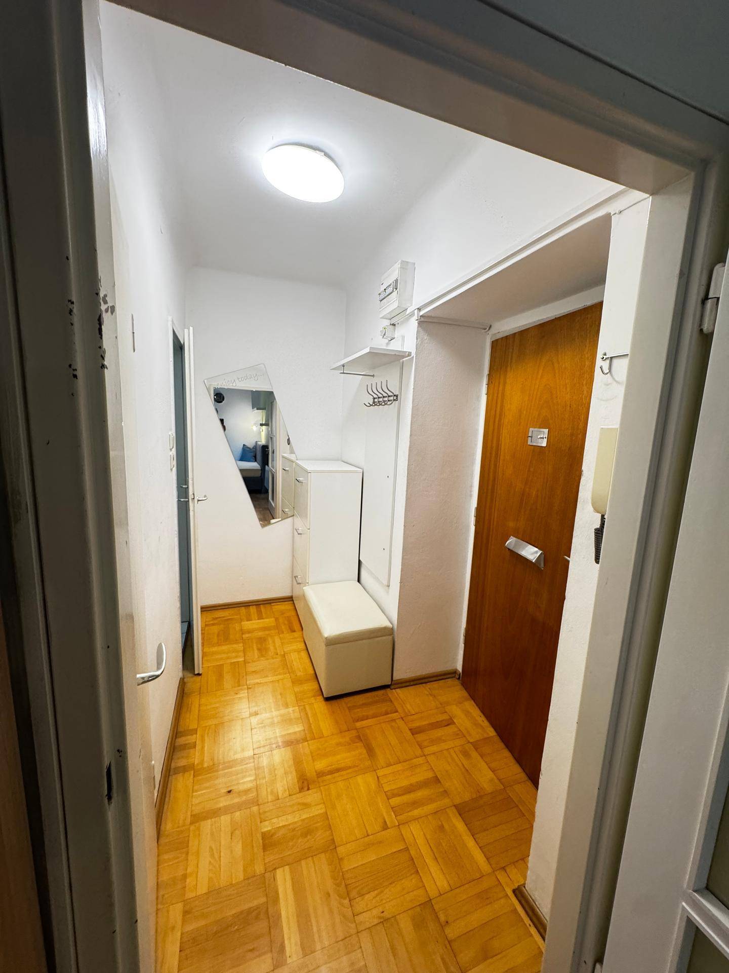 Heller Flur mit Parkettboden, Spiegel und Garderobe, der zu weiteren Räumen führt.
