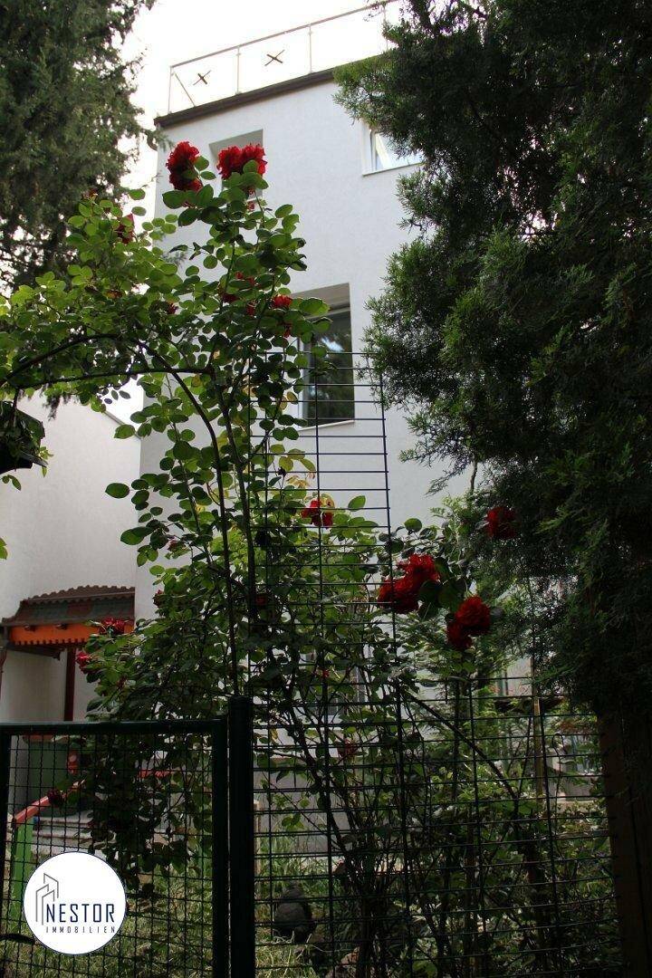 Villa - NESTOR Immobilien