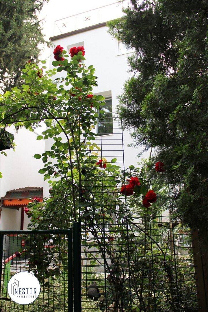 Villa - NESTOR Immobilien