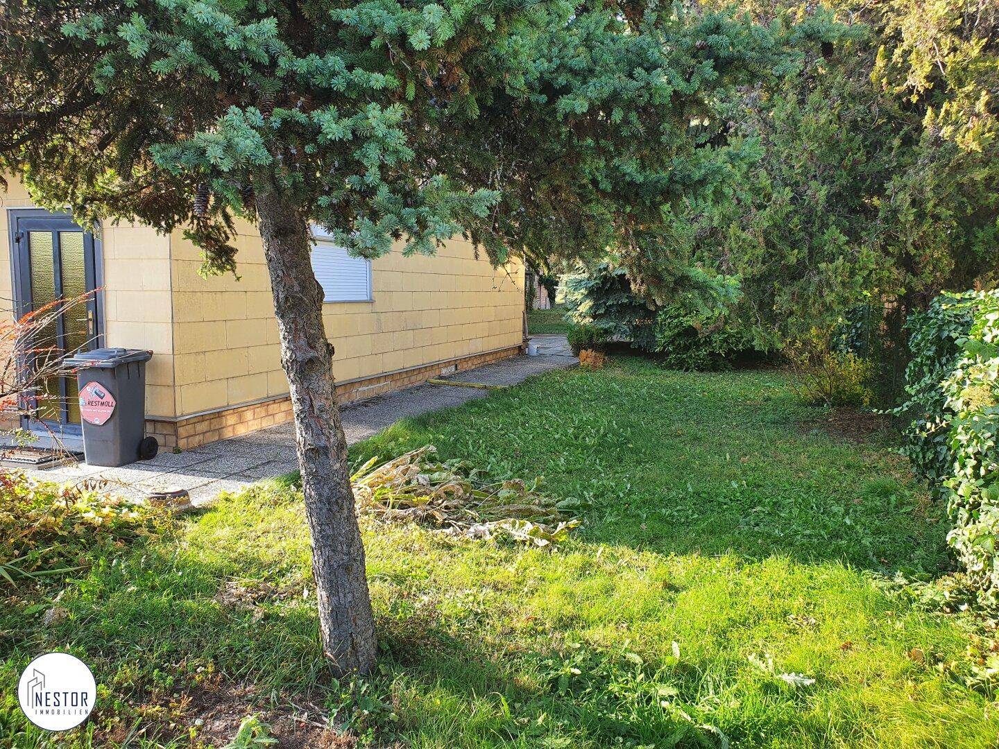 Seitenansicht des Hauses mit gepflegter Rasenfläche, Baum und Zugang zum Gartenbereich.