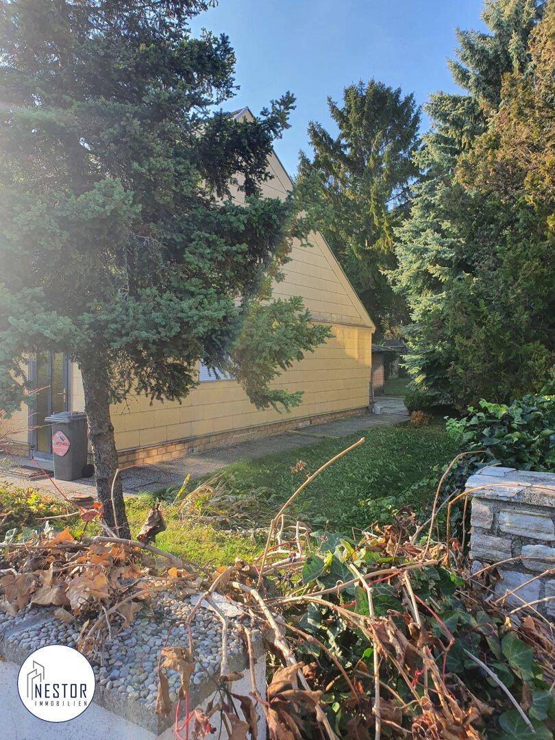 Gartenbereich neben dem Haus mit üppiger Vegetation und hohen Bäumen im Sonnenlicht.