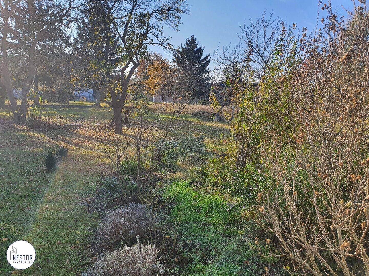 Großer Garten mit verschiedenen Bäumen und Sträuchern, ideal für Erholung im Freien.