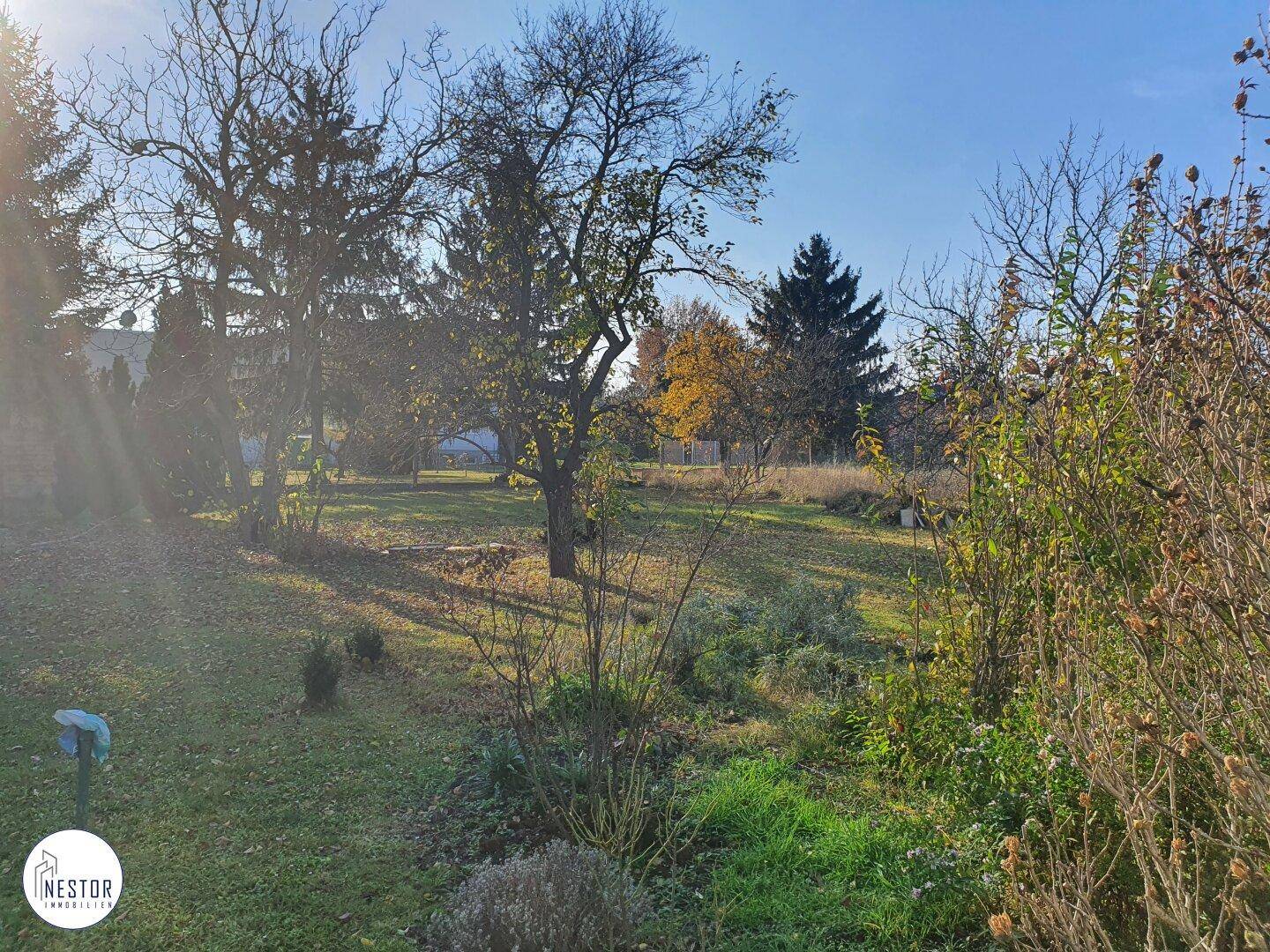 Weitläufiger Gartenbereich mit altem Baumbestand und viel Grünfläche unter blauem Himmel.
