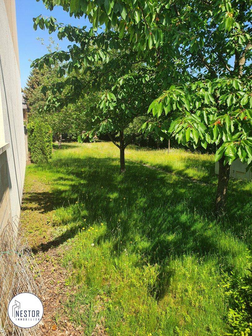 Grundstück - NESTOR Immobilien