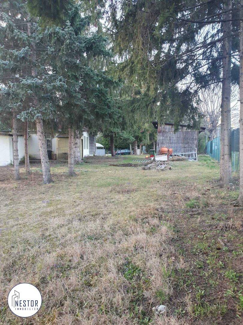 Grundstück - NESTOR Immobilien