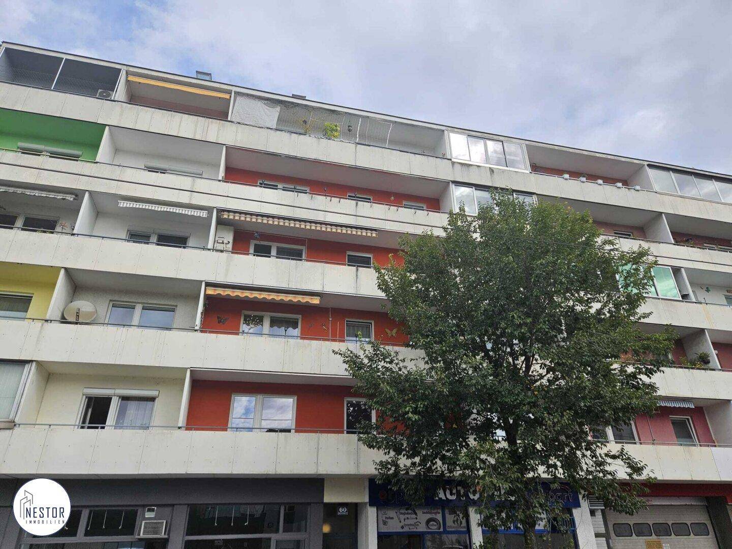 Wohnung - NESTOR Immobilien