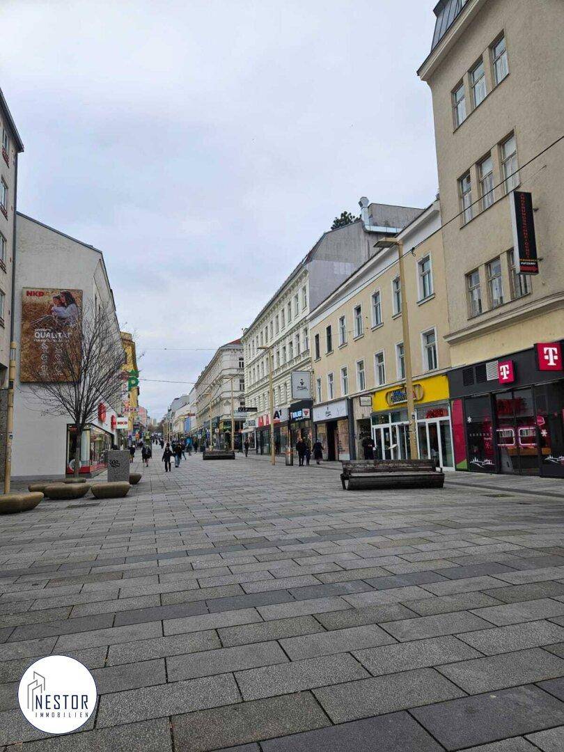 Lange Fußgängerzone mit zahlreichen Geschäften und Gebäuden unter einem bewölkten Himmel.