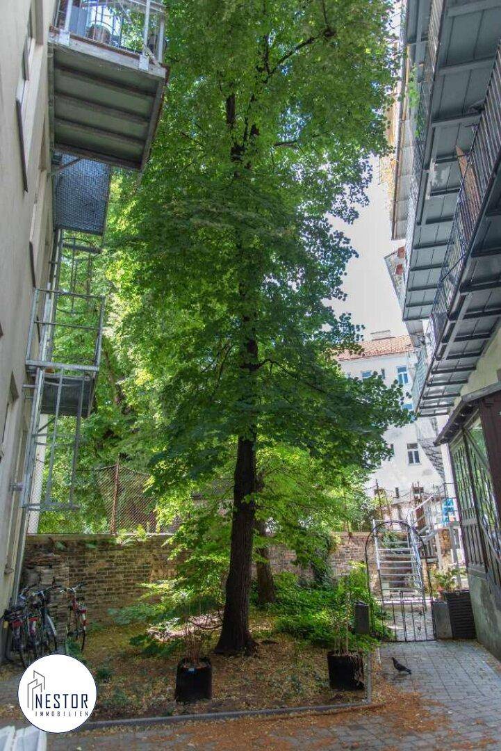 Wohnung - NESTOR Immobilien