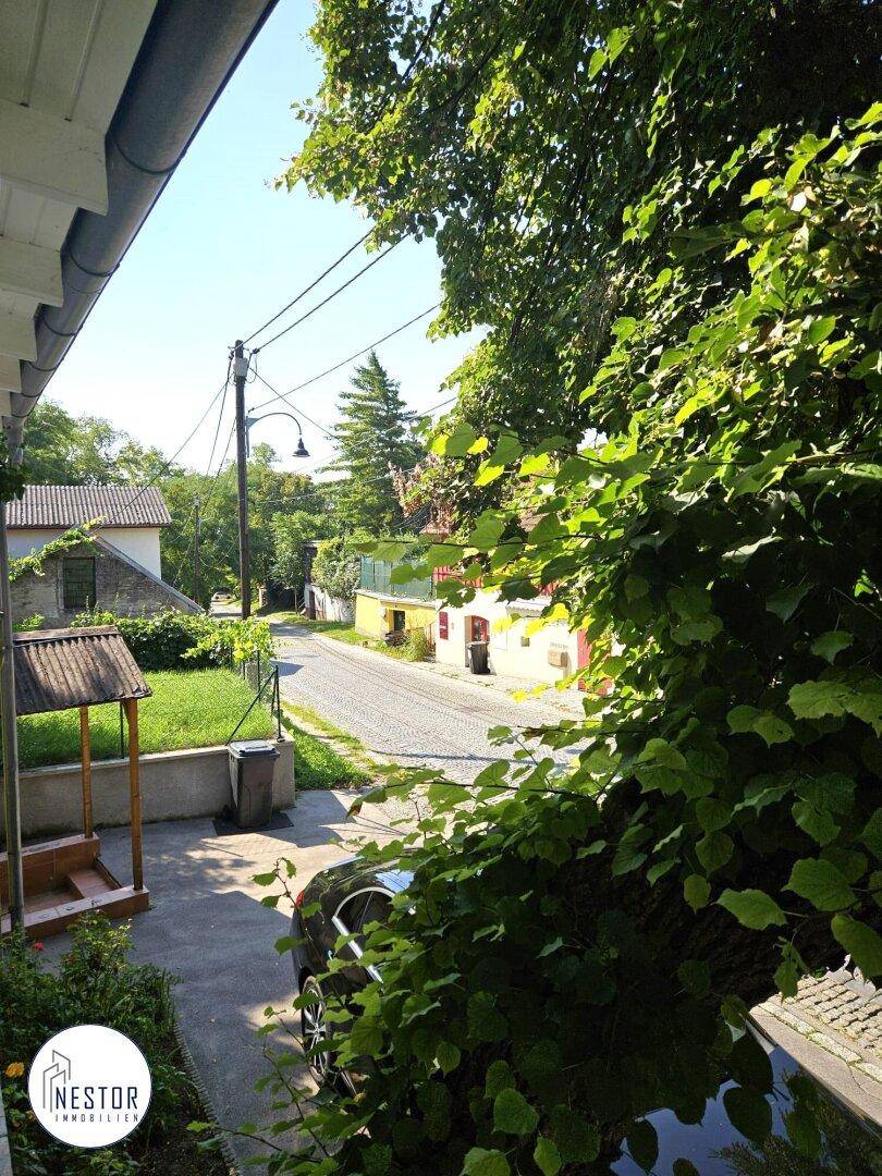Blick auf eine ruhige, von Bäumen gesäumte Straße mit Kopfsteinpflaster und Häusern in der Ferne.
