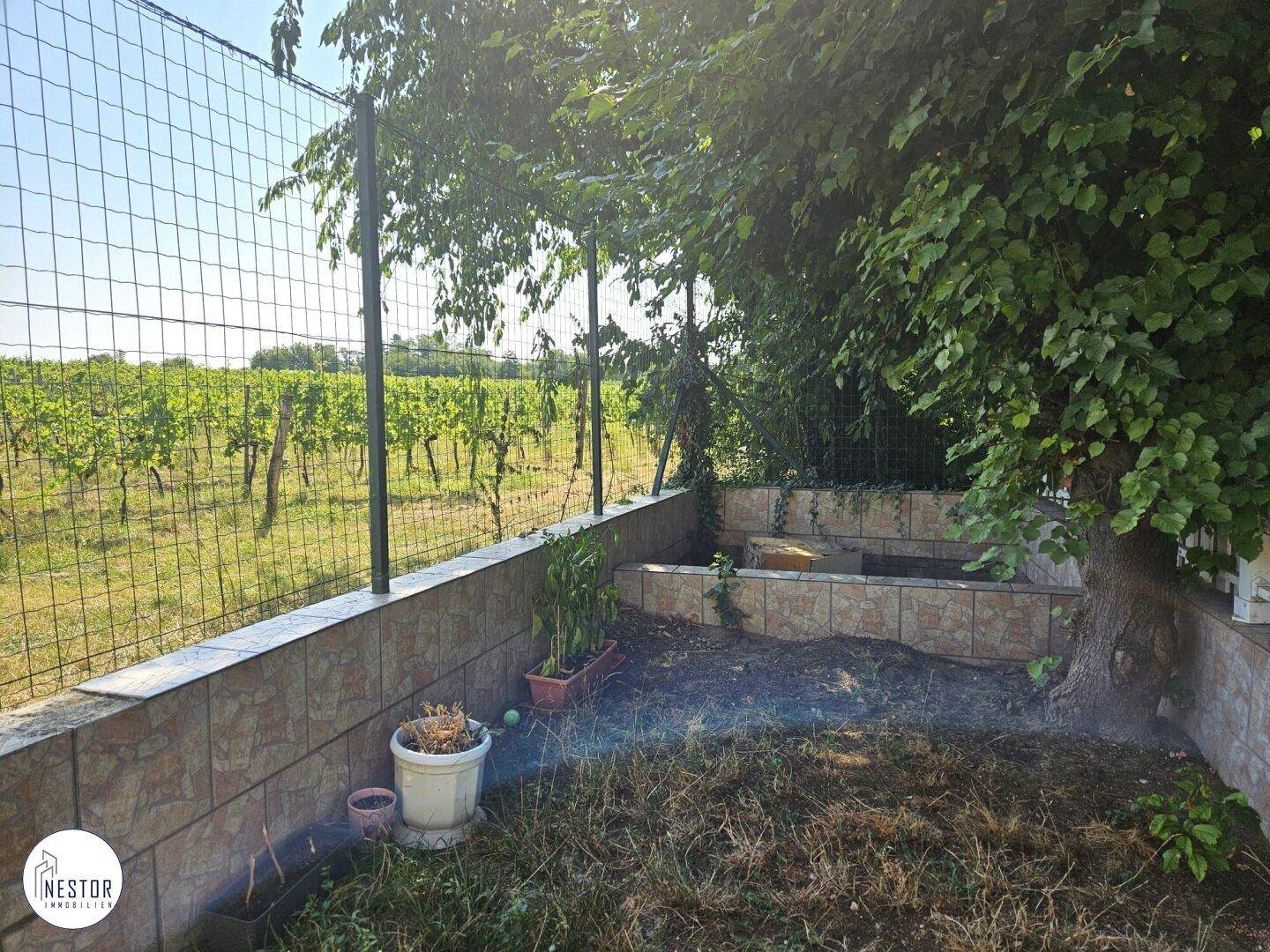 Gartenbereich mit niedriger Mauer und Blick auf weitläufige Weinberge unter blauem Himmel.