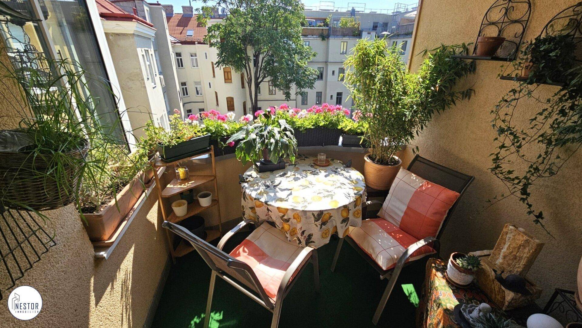 Wohnung - NESTOR Immobilien