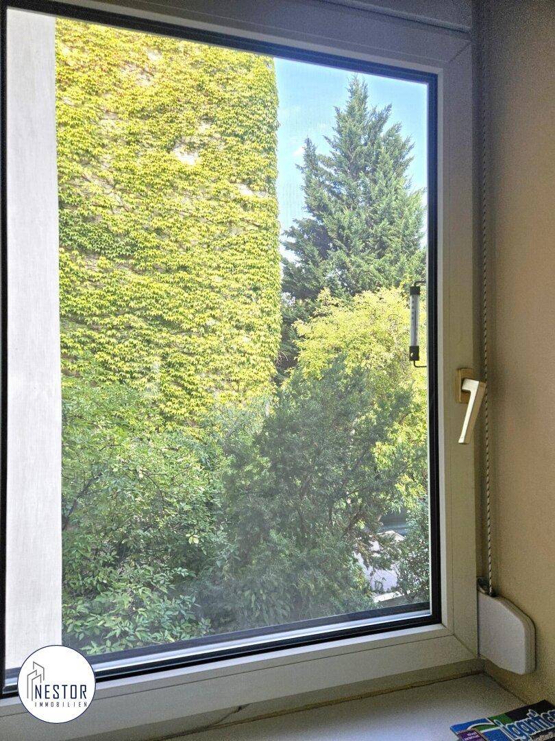 Wohnung - NESTOR Immobilien