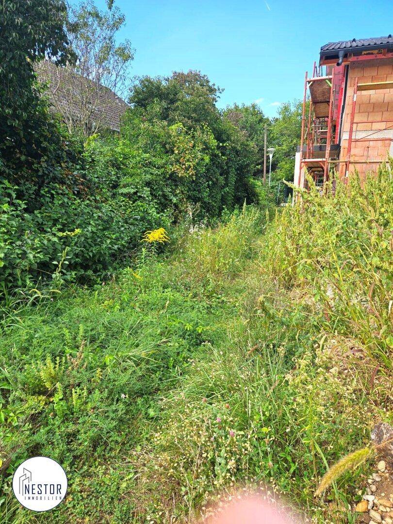 Grundstück - NESTOR Immobilien