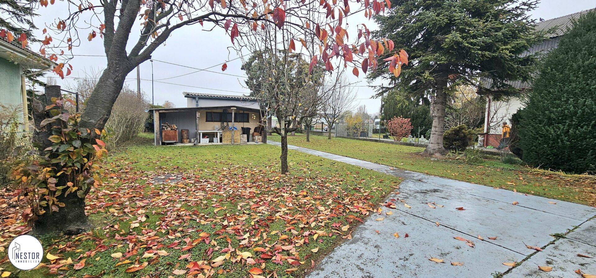 Gartenbereich mit Bäumen, Herbstlaub und einem gepflasterten Weg.
