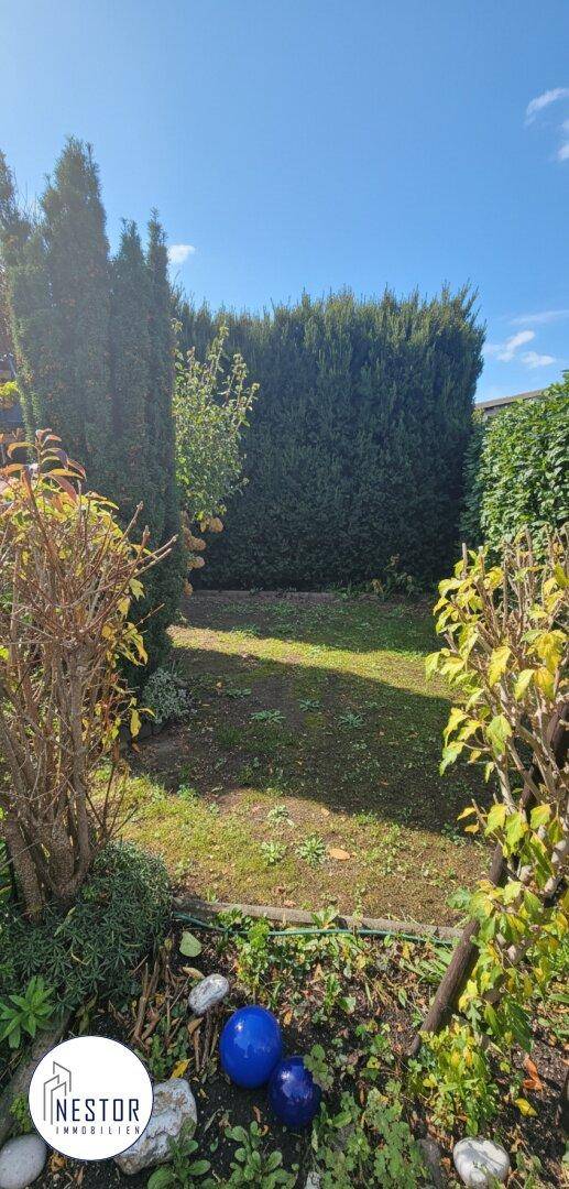 Grüne Rasenfläche im Garten, umgeben von hohen Hecken und Bäumen, mit dekorativen Kugeln.