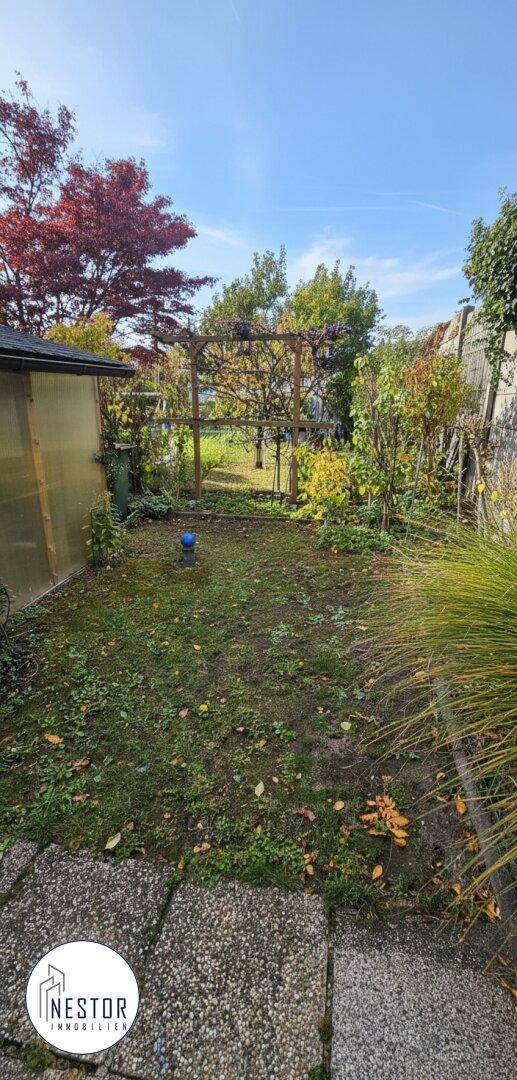 Gartenbereich mit Rasenfläche, Holzpergola im Hintergrund und einem kleinen Geräteschuppen.