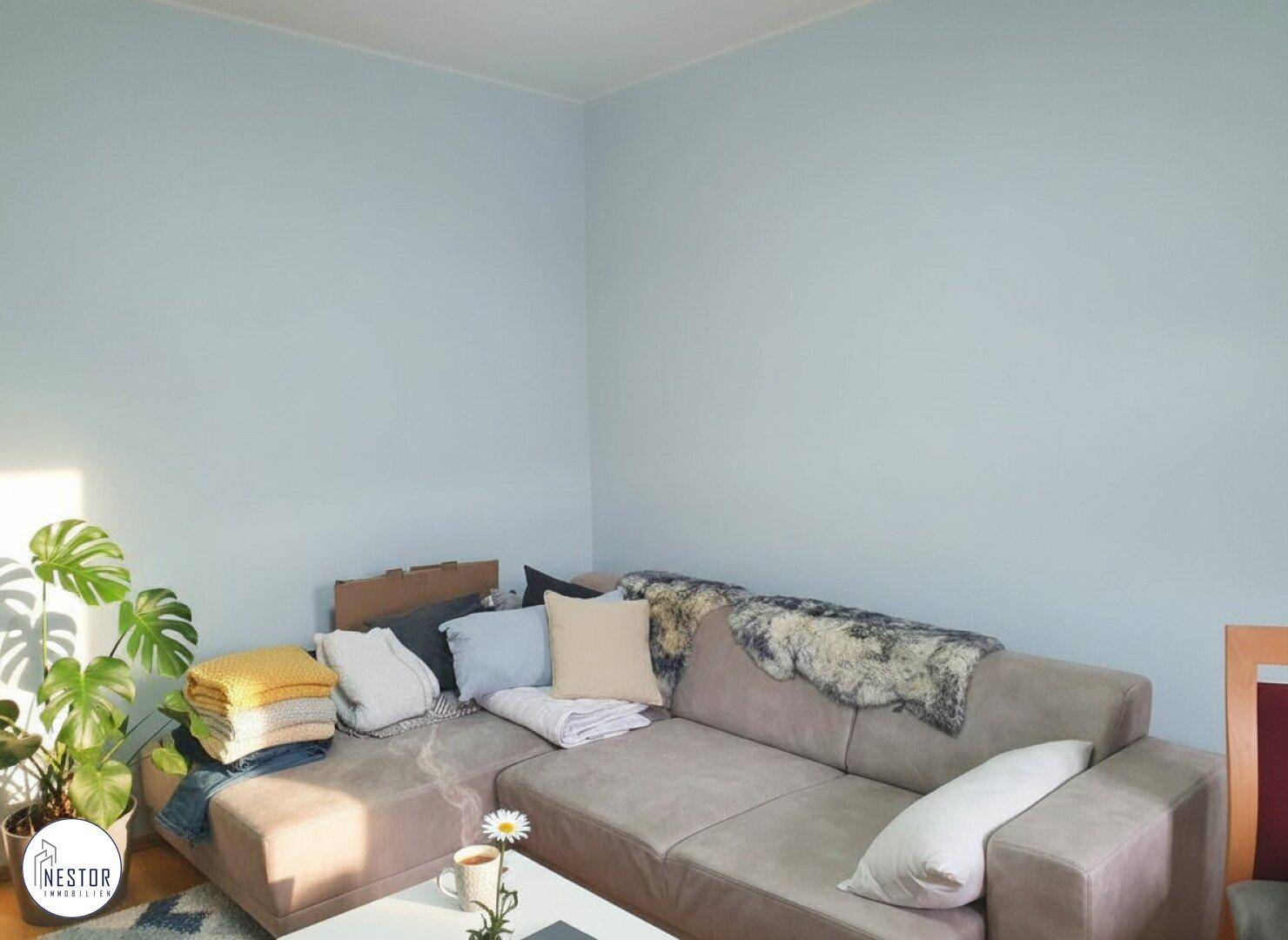 Gemütliches Wohnzimmer mit Ecksofa, hellblauen Wänden und Pflanzen am Fenster.