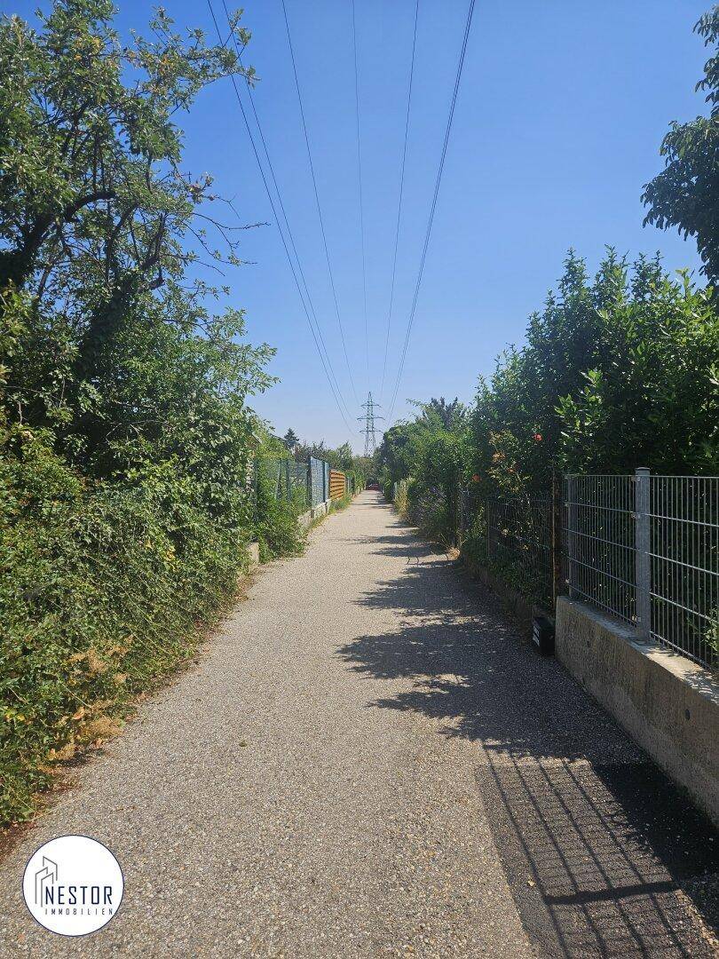Schotterweg, gesäumt von hohen Hecken, führt in die Ferne unter Stromleitungen und blauem Himmel.