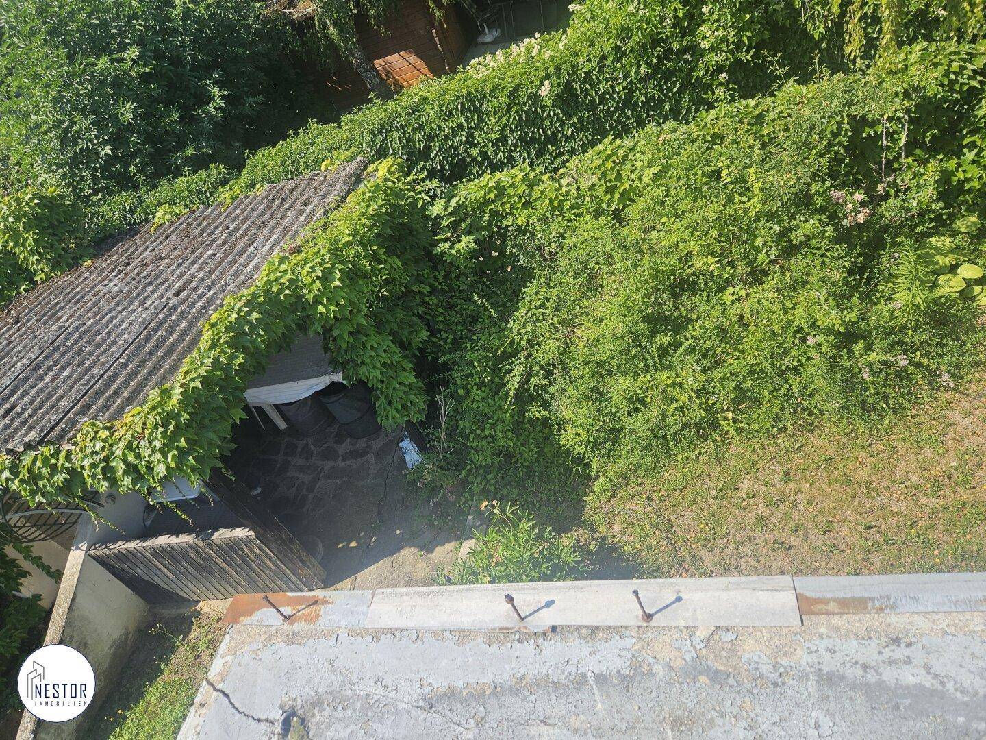 Blick von oben auf ein altes, von Efeu bewachsenes Dach und dichte Vegetation im Garten.