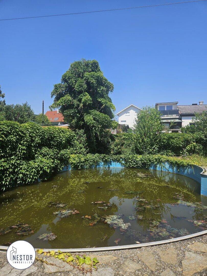Verwilderter Gartenbereich mit einem ungenutzten, mit Wasser gefüllten Swimmingpool unter blauem Himmel.