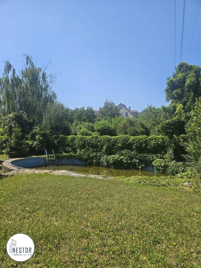 Weitläufiger Gartenbereich mit einem ungenutzten Swimmingpool, umgeben von viel Grün unter blauem Himmel.
