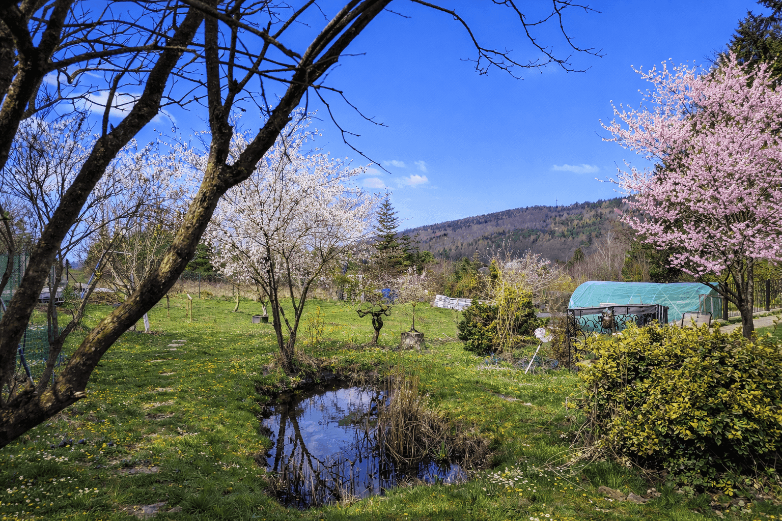 Familientraum im Wienerwald! Einfamilienhaus mit großem Garten! - Ansicht 2