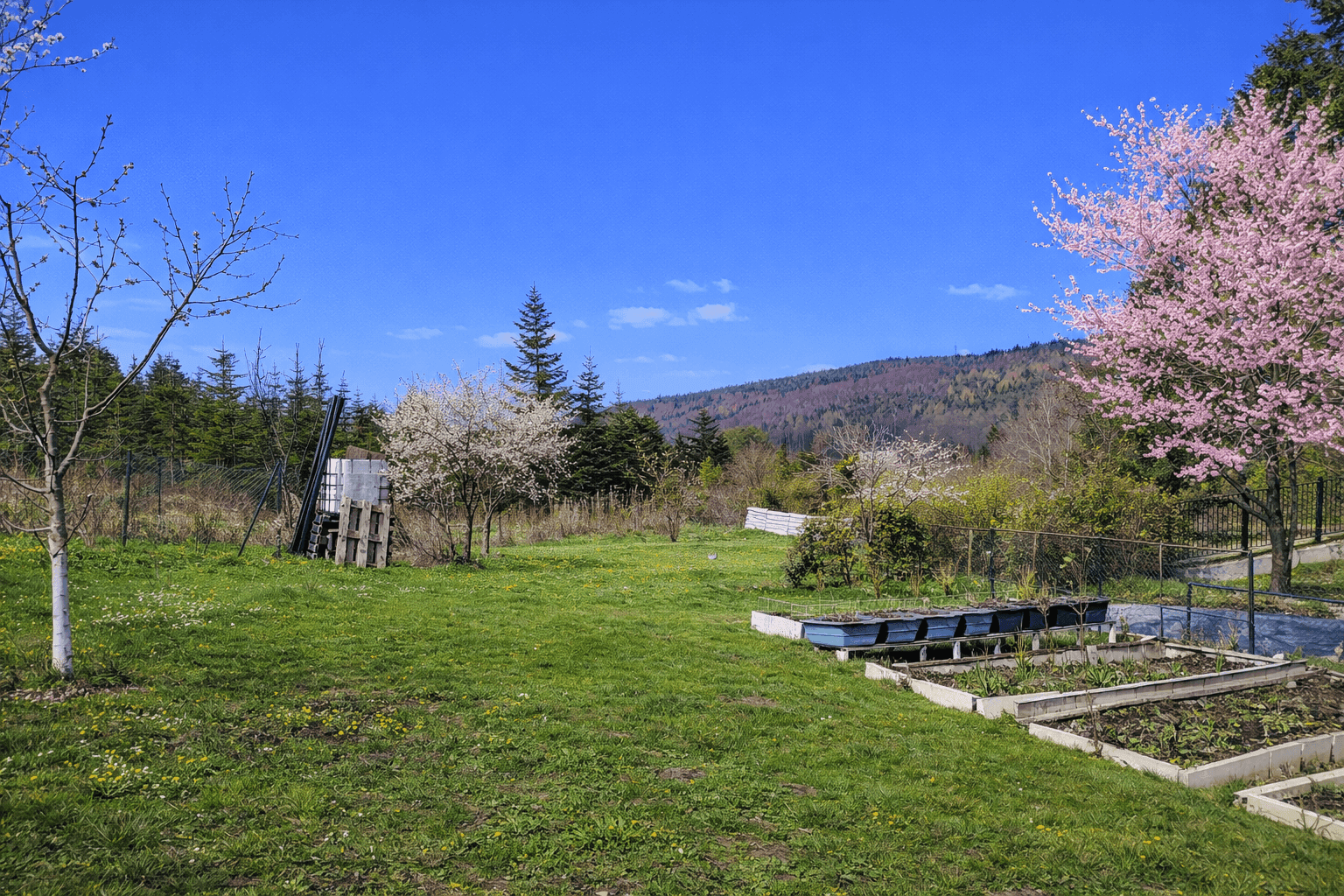 Großer Gartenbereich mit Hochbeeten, blühenden Bäumen und Blick auf bewaldete Hügel unter blauem Himmel.