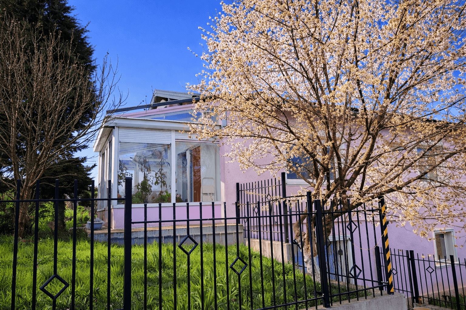 Hausfassade in Rosa mit einem verglasten Wintergarten und einem blühenden Baum im Vordergrund.