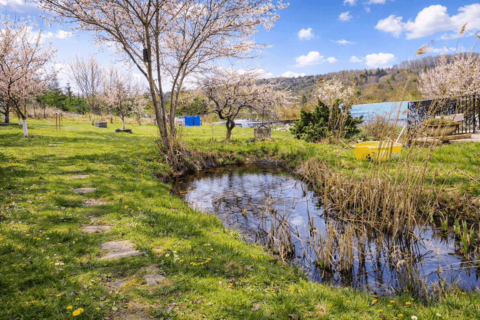 Idyllischer Gartenbereich mit einem kleinen Teich, Schilf und blühenden Bäumen unter blauem Himmel.