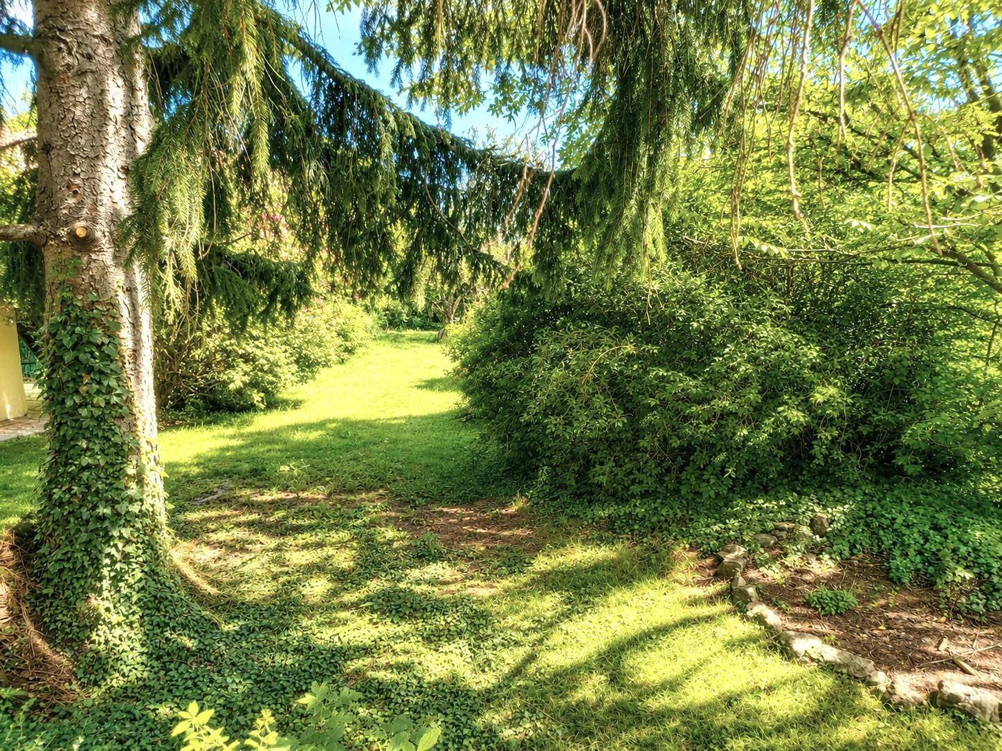 Weitläufiger, sonniger Garten mit üppigem Grün, hohen Bäumen und einem natürlichen Pfad.