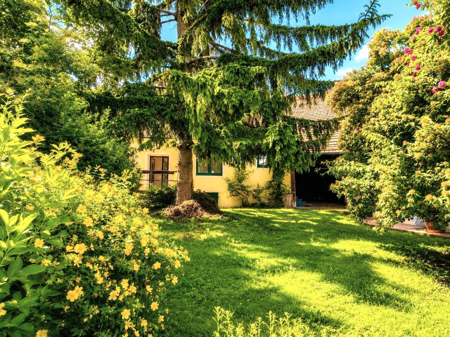 Malerischer Gartenbereich mit blühenden Sträuchern, sattgrünem Rasen und einem großen Nadelbaum.