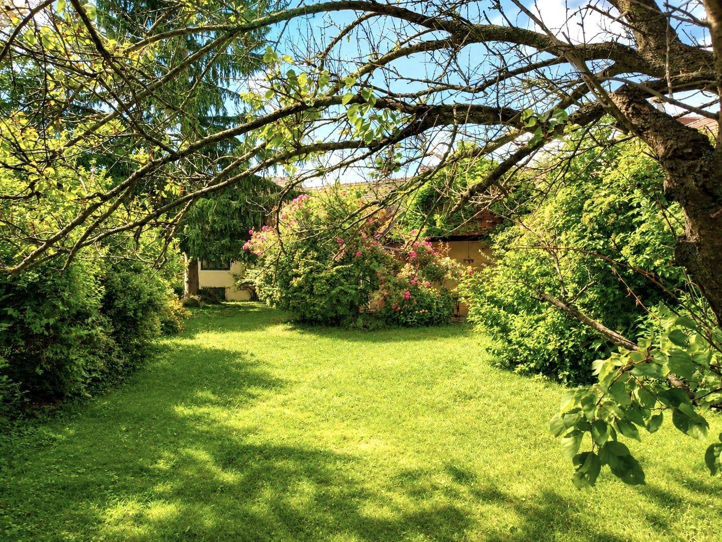 Weitläufiger, sonniger Garten mit dichtem Grün, blühenden Sträuchern und einem gepflegten Rasen.