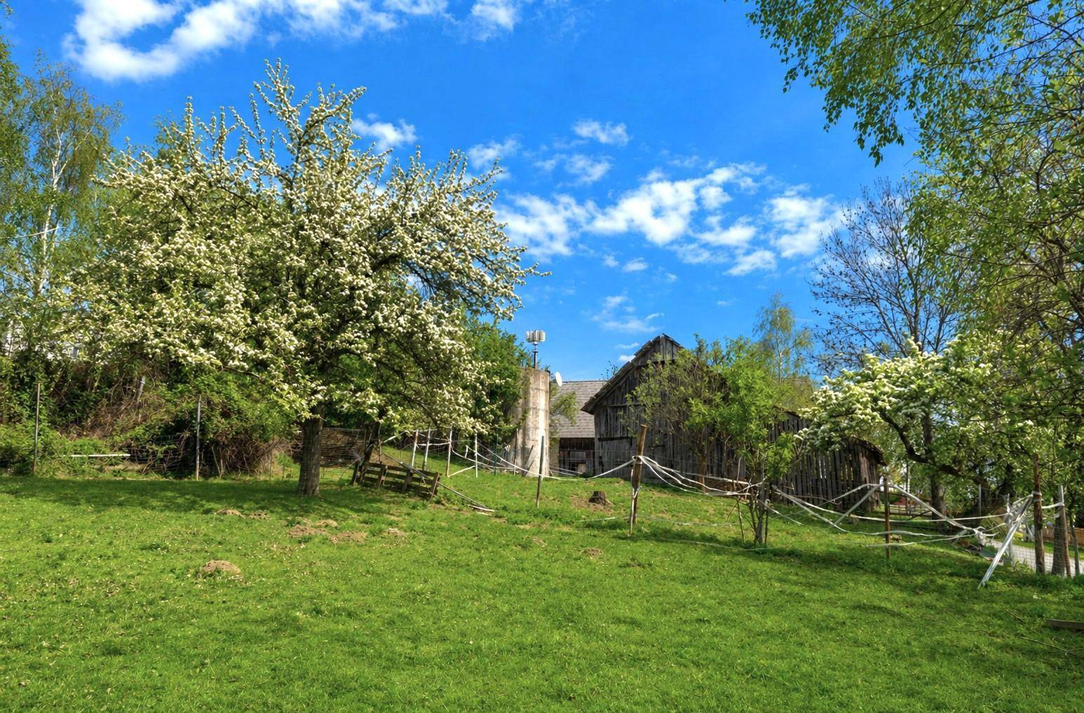 Weitläufiger Garten mit blühenden Bäumen und einem rustikalen Gebäude im Hintergrund.