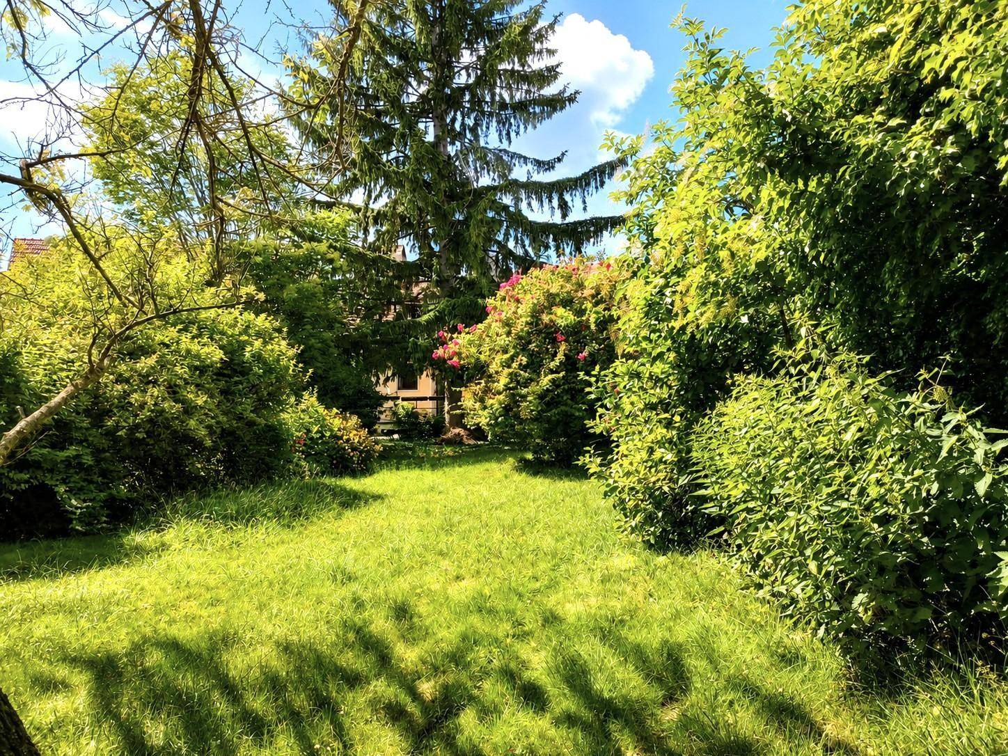 Üppiger, grüner Garten mit blühenden Sträuchern und hohen Bäumen unter blauem Himmel.