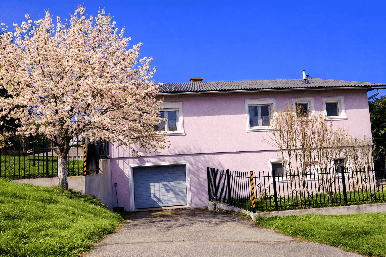 Rosa gestrichenes Einfamilienhaus mit integrierter Garage und blühendem Baum im Vorgarten.