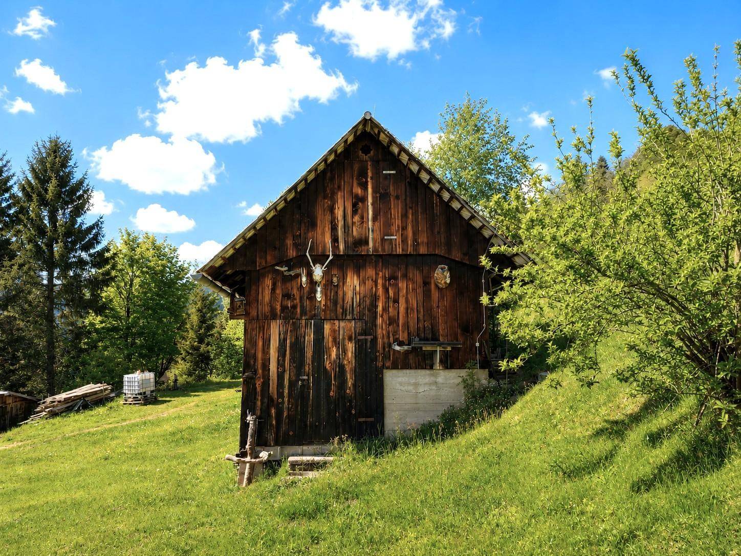 Rustikale Holzscheune mit Satteldach und Jagdtrophäen an der Fassade in ländlicher Umgebung.
